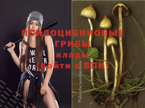 меф Заводоуковск