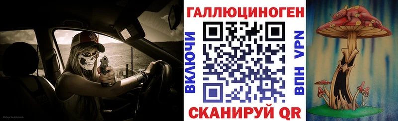 Купить  Мурманск  Псилоцибиновые грибы Psilocybe 